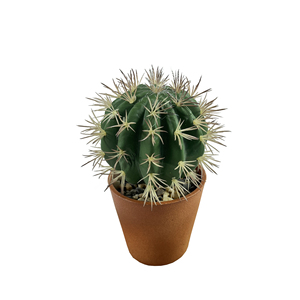 Vaso succulento con palla di Cactus simulata verde tropicale decorazione per la casa pianta artificiale-149 - Product Image 5