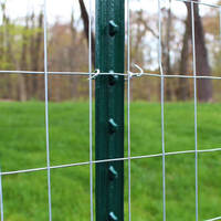 Poste de cercado en T de acero negro barato, poste de cerca en T para aves de corral
