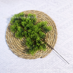 Rama de Pino Artificial Imitación Sentai de 30cm-100cm, Decoración de Paisajismo para Interiores y Exteriores de Plástico - Product Image 2
