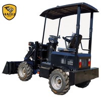 Mini Caricatore Elettrico Cinese con Capacità di Sollevamento 500kg, Batteria al Piombo-Acido, Prezzo Conveniente, Lunga Autonomia, in Vendita