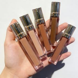 Lápiz Labial Mate Impermeable Personalizado de Marca Privada OEM en 21 Colores - Product Image 1