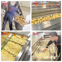 Volledig automatische productielijn voor diepvriesfrieten: verse aardappel wassen, schillen, snijden, frituren en verwerken.
