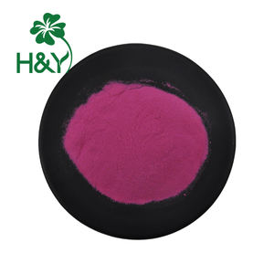 Premium kırmızı-fleshed ejderha meyve özü 99% saf gıda sınıfı ejderha meyve tozu 1kg çanta - Product Image 3