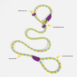 Set Guinzaglio e Collare per Addestramento Cani 2-in-1 con Logo Personalizzato, Corda Robusta e Resistente, Guinzaglio Classico per Passeggiata - Product Image 2