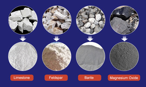 Moulin pulvérisateur Raymond 1-30 t/h - Product Image 2