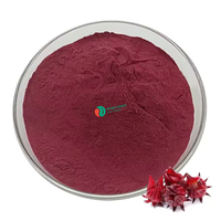 Approvisionnement d'usine 100% poudre d'extrait de fleur d'hibiscus naturel pur