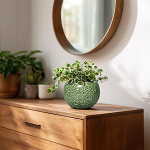 Maceta de Cerámica Verde Oliva Degradado con Orificio de Drenaje, Autorriego, Ligera (3 kg), Diseño Moderno para Uso Interior/Exterior - Product Image 6