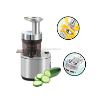 1000W Zware Motor Langzaam Kauwen Koude Pers Groenten Komkommer Commerciële Slow Juicer Machine Voor Sap Bars Restaurants