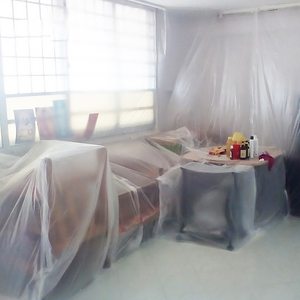 Proyecto de construcción y protección de pintura Embalaje Hoja de rollo de película de polietileno - Product Image 1