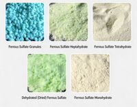 Sulfate ferreux monohydraté 98% FeSO4.H2O CAS 17375-41-6 Engrais ferreux agricole pour l'amelioration des sols et la lutte contre la chlorose en poudre