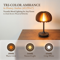 Lampe de table LED rechargeable moderne en forme de citrouille, contrôle tactile, intensité réglable, base en fer et bois, lumière décorative de chevet 1800mAh