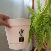 Pot Bunga PP Berbentuk Meruncing dengan Lubang Drainase Terintegrasi pada Alasnya, Finishing Matte, Ringan, untuk Penggunaan di Lantai, Ukuran Besar, Ramah Lingkungan untuk Berkebun.