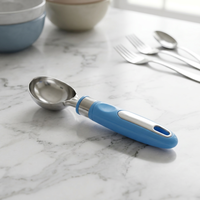 Cucchiaio per Gelato in Acciaio Inox con Manico Antiscivolo in PP e Foro per Appendere, Ideale per Casa e Gelaterie
