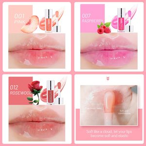 Beauty Custom Lip Oil Private <b>Label</b> Moisturizing 5 Colors Liquid Tinted Lip Oil Lip Gloss - Product Image 2