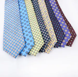 Chinese Factory Low MOQ Custom Logo Men's Printed Patterned Necktie Custom Logo Silk Business Neck Ties for Wholesale