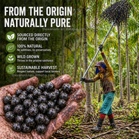 Poudre de Baies d'Açaï Véritables du Brésil Lyophilisées 100% Pures Violettes Foncées Riches en Anthocyanidine (NON EXTRAIT) Boisson de Beauté/Additif