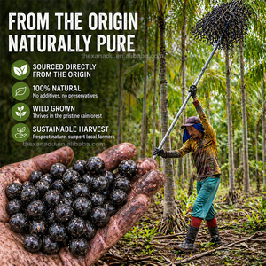 Poudre de <span class=keywords><strong>Baies</strong></span> d'Açaï Véritables du Brésil Lyophilisées 100% Pures Violettes Foncées Riches en Anthocyanidine (NON EXTRAIT) Boisson de Beauté/Additif - Product Image 5