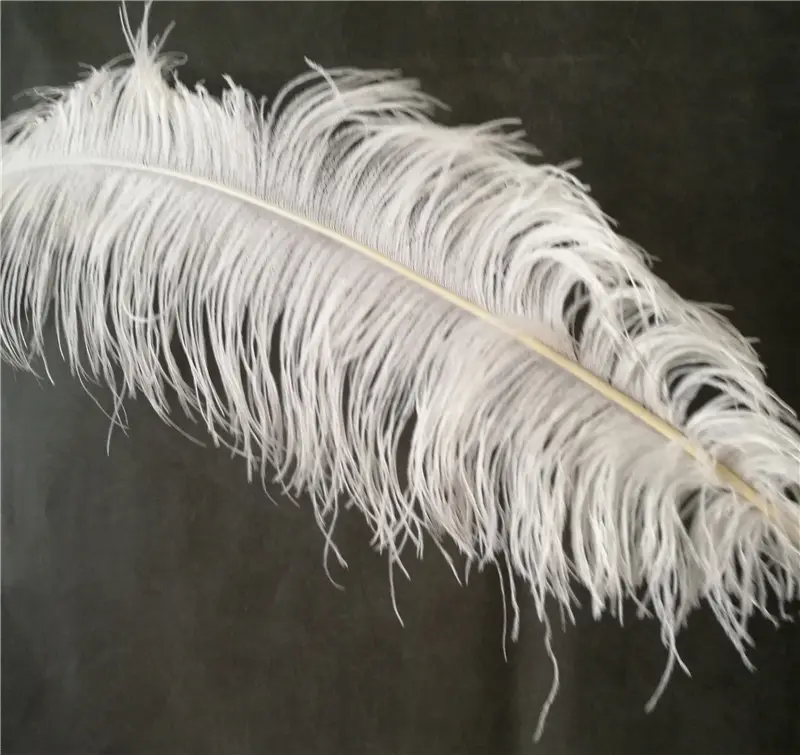 Feather Decor for vase