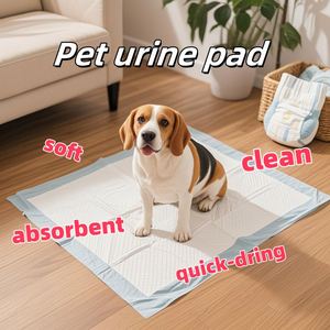 Fournitures pour animaux de compagnie respectueuses de l'environnement, fournitures pour animaux de compagnie tendance et écologiques - Product Image 5