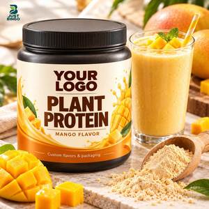 Proteína en Polvo con Opciones de Sabor en Envase, Desarrollo de Productos ODM para Marcas Minoristas - Product Image 1