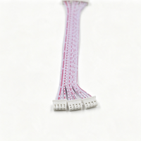 Câble plat XH 2,54 mm, rouge et blanc, faisceau de câbles, double connecteur blanc, câble de raccordement pour connexion interne des équipements d'éclairage