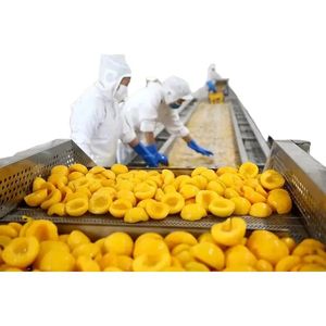 Konserve meyve sebze işleme hattı - Product Image 1