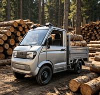 Camion de fret électrique chinois, camionnette à quatre roues à énergie nouvelle, cabine 1,6*1,1m, plateau de chargement 1000kg, capacité 40-50km/h