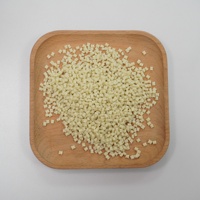 Granulés de plastique AS ignifuges à 10 % de fibres de verre, granulés de résine AS, copeaux de plastique, composé plastique AS G4 K01