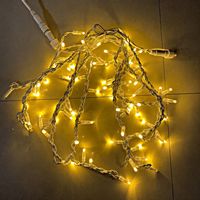 Guirlande lumineuse LED extérieure étanche 100 LED blanc chaud, rideau de lumières pour arbre, 220V IP65 3.2M, non connectable, pour patio, mariage, Noël