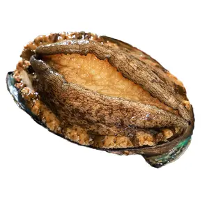 Fresh frozen large abalone rich in nutrients tastes good High-quality hot-selling seafood Wholesale shellfish