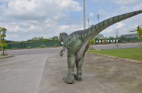   Costume de dinosaure animatronique fait main, grande taille, modèles animatroniques, modèle d'animal animatronique, costume de Velociraptor