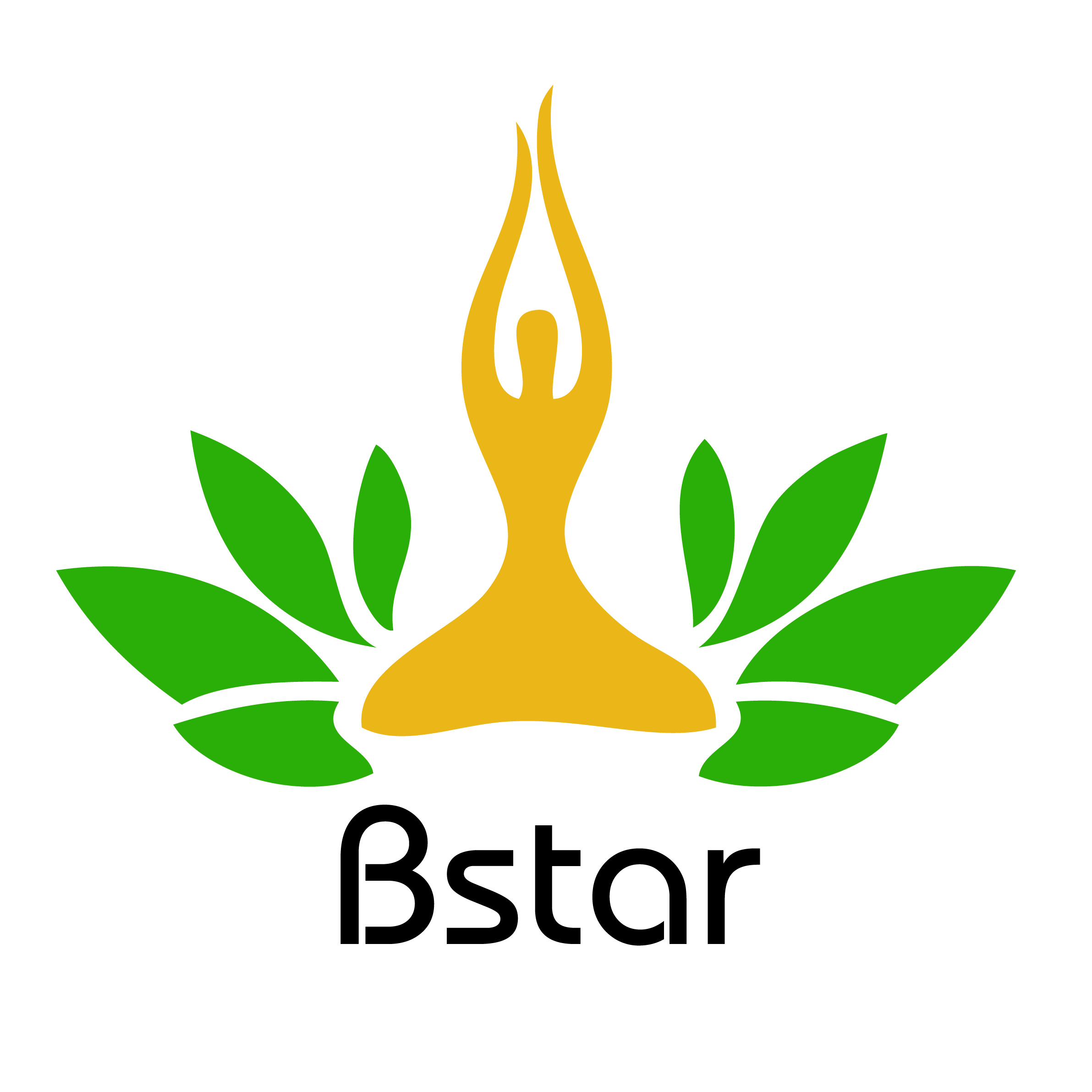 Hefei Bstar Rubber Mats Co., Ltd. logo
