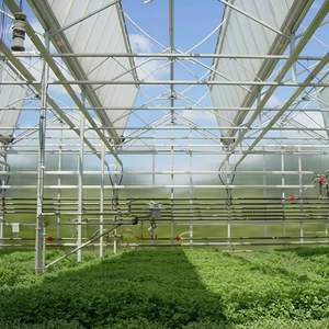 Sainpoly الدفيئات الزراعية البلاستيكية أفلام خضراء صغيرة كبيرة الحجم - Product Image 1