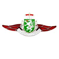 Badge personnalisé, épingle à revers, ailes métalliques, en acier inoxydable, en argent ou or, 20 pièces