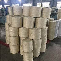 S-twist Sisal Yarn of Great Evennes Good for Wire Rope Core