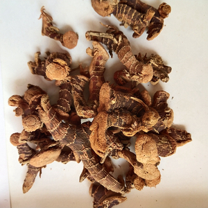 Migliore qualità Alpinia radici per la vendita online Alpinia officinarum prezzo a buon mercato - Product Image 3