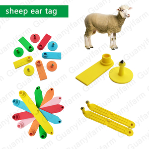 Etiqueta de Oreja de TPU para Ovejas, Resistente a la Intemperie, para Ganado, Cabras y Otros <span class=keywords><strong>Animales</strong></span>, Suministro al por Mayor - Product Image 1