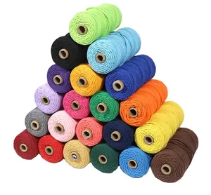 Corde de coton naturelle tressée personnalisée, 3mm, 4mm, 5mm, torsadée colorée, bricolage, macramé, vente en gros