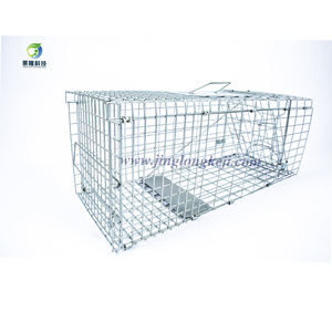 Métal sans cruauté grand vivant sauvage coyote <span class=keywords><strong>écureuil</strong></span> lapin raton laveur chien Cage piège <span class=keywords><strong>renard</strong></span> Animal piège chat sauvage piège Cages à vendre - Product Image 5