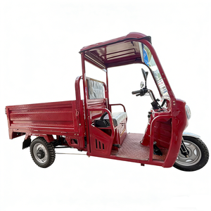 Tricycle cargo électrique tout-terrain 48V 1000W 4000W robuste pour adulte, à 3 roues, avec cabine, pour camping et transport de nourriture - Product Image 3