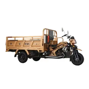 Triciclo elétrico de 3 rodas para adultos, 12V28Ah, triciclo de carga com luz LED, em boa qualidade, em promoção