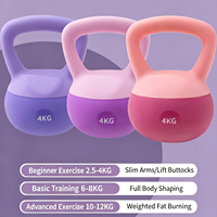 Offre Spéciale – Kettlebell Souple en PVC, Vente Directe Usine, 2kg, 4kg, 6kg, 8kg, Antidérapant, pour Entraînement de Force à Domicile, Fitness, Yoga et Pilates pour Femmes