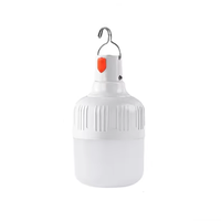 Lampe portable à intensité variable à suspendre, lampe de secours, ampoule rechargeable étanche, ampoule LED rechargeable