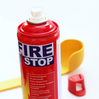 Extincteur miniature certifié 3C, spray anti-feu portable, facile à transporter, utilisation automobile et domestique, mousse métallique, garantie de 12 mois