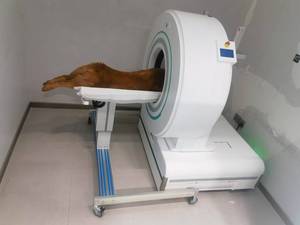 Escáner CT portátil de cabeza móvil para mascotas Escáner de tomografía computarizada CT móvil Escáner CT médico - Product Image 3