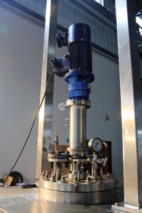 Réacteur en acier inoxydable bibo 50L 100L 200L 500L pour production pilote en laboratoire, incluant les composants essentiels : cuve, moteur - Product Image 2