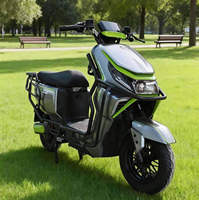 Moto électrique tout-terrain haute vitesse 1000W 60V avec pédales, vente en gros