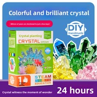 Kit d'expériences scientifiques DIY pour la culture de cristaux, pour les 0-3 mois, activité chimique parent-enfant, matériau plastique, cadeau de Noël
