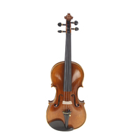 Violon professionnel taille haute pour violon professionnel, livraison gratuite, accessoires de qualité supérieure
