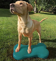 Dispositif d'entraînement d'équilibre dynamique de balle pour l'entraînement et l'ajustement de chien